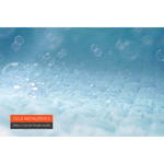 image-8cd33273a232417a9e11eedb41fc1d8