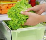 Consul_Geladeira_CRM55AB_Imagem_Gaveta_Verduras_165X145