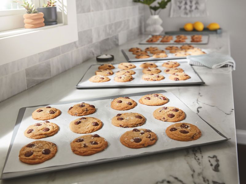 image-5db53b15d1474a82aa28e3dc4d5e6c2