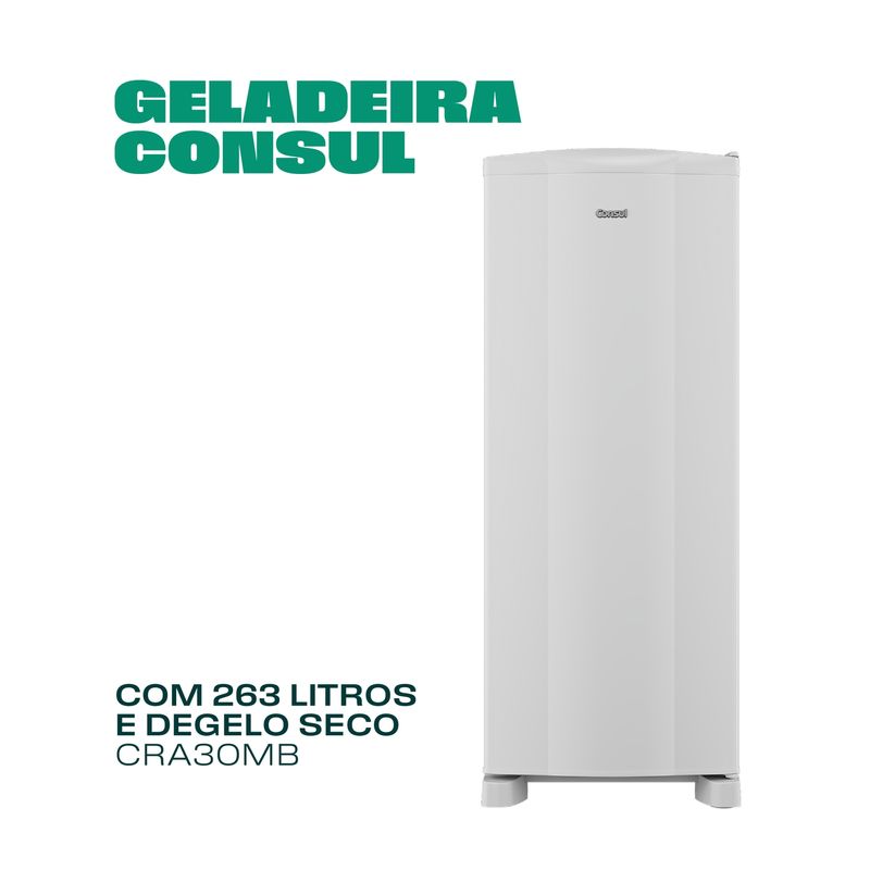 02_Consul_Geladeira_CRA30MB