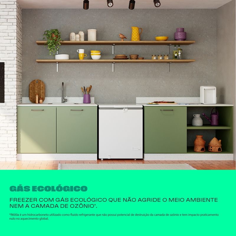 Consul_Freezer_CHA22MB_E-Commerce_Gas